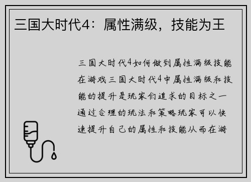 三国大时代4：属性满级，技能为王